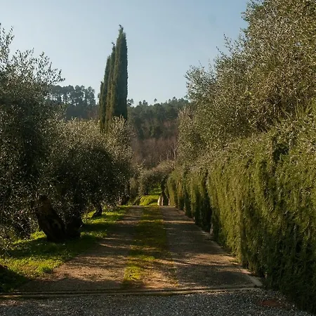 Vila Luxury 6-bed Tuscan Near Lucca And Florence *