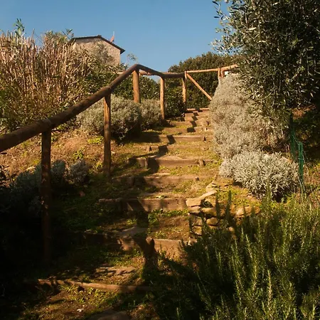Villa Luxury 6-bed Tuscan Near Lucca And Florence *